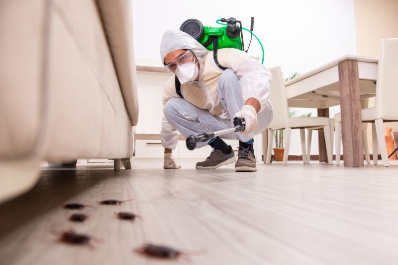 Bug Extermination Service
